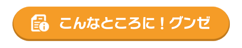 こんなところに！グンゼ