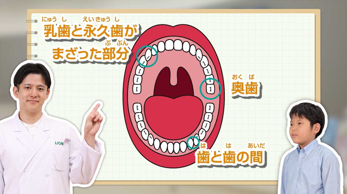 自分に合ったハブラシを選ぶ方法は?